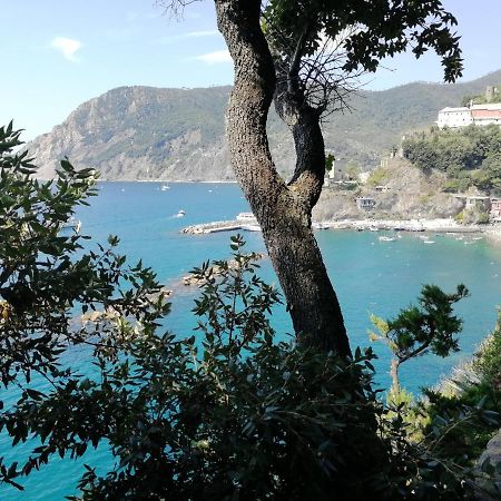 Nel Cuore Di Monterosso Cinque Terre Orto Di Ciack Монтероссо-аль-Маре Экстерьер фото