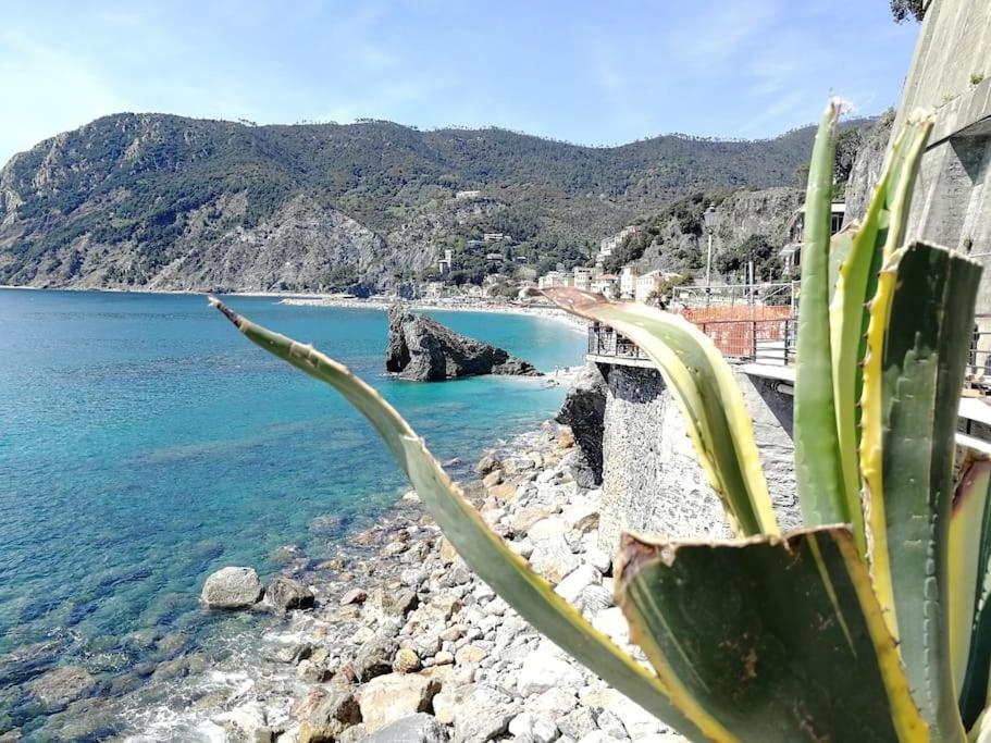 Nel Cuore Di Monterosso Cinque Terre Orto Di Ciack Монтероссо-аль-Маре Экстерьер фото